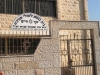 עץ חיים